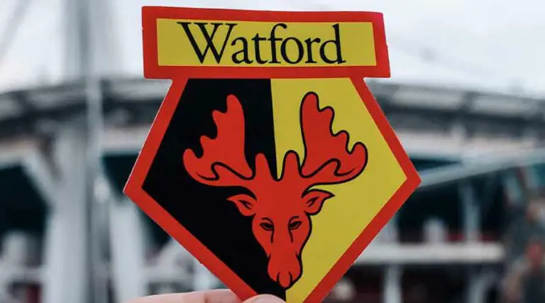 Why Are Watford Called ‘The Hornets’?