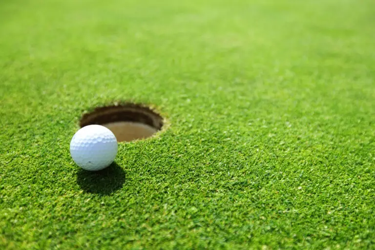 What are the Different Types of Grass in Golf?